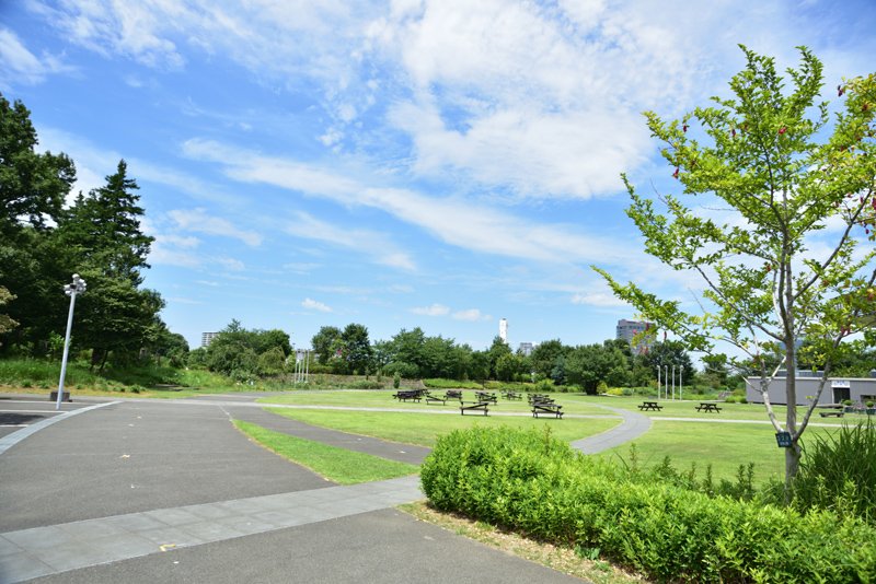 広大な面積を誇る「千葉県立 北総花の丘公園」も近い